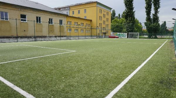 Watsonova – umelá tráva